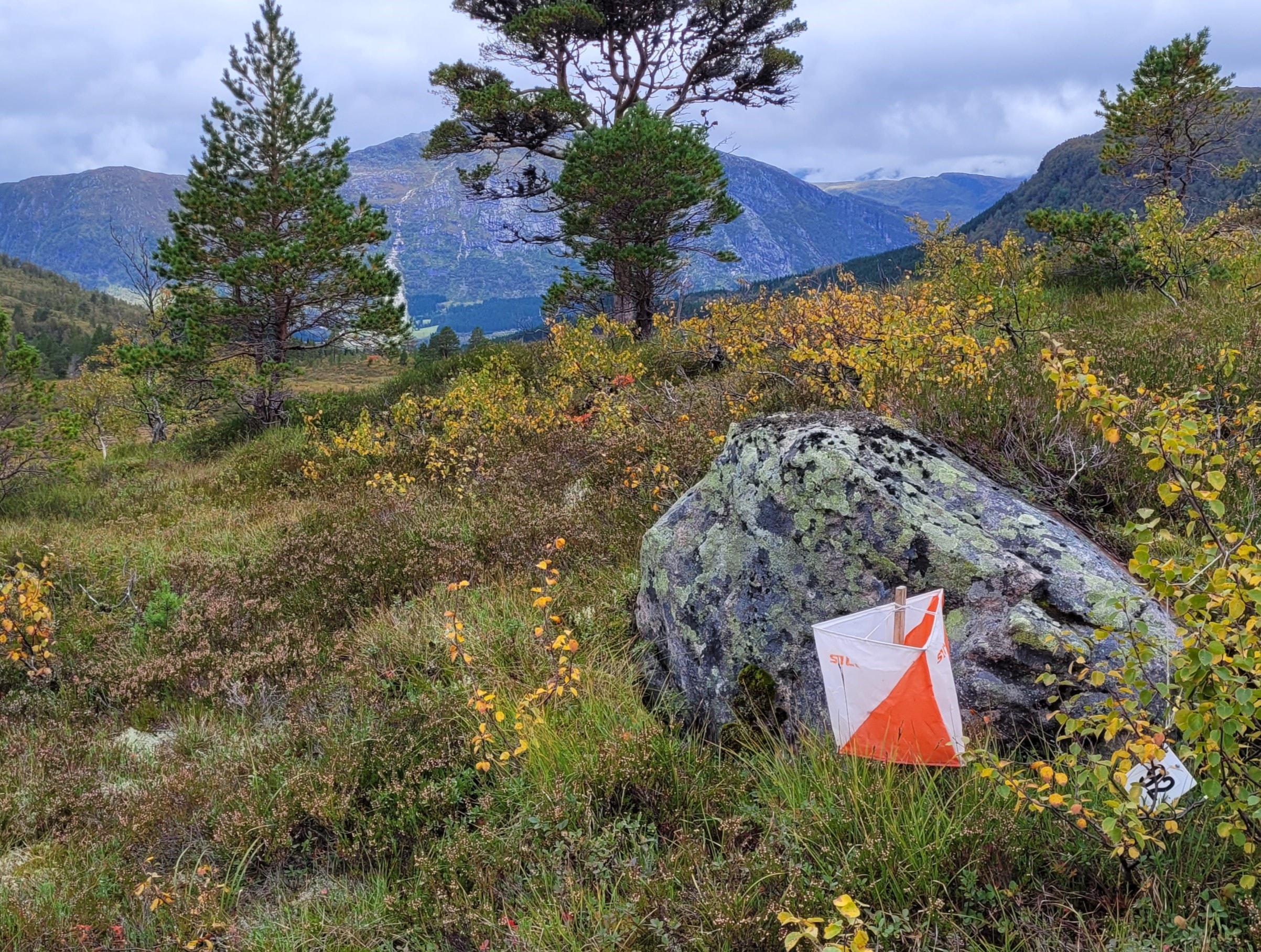 O-løp Gjesdalsdalen 4.9.